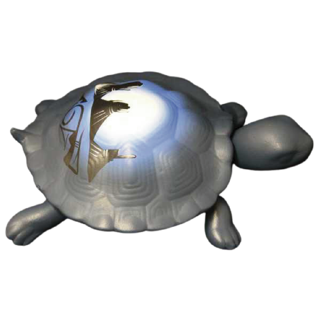 11105 Desert Rainbow 12 Turtle Box