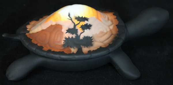 35104 Sunset Canyon 7 Turtle Box