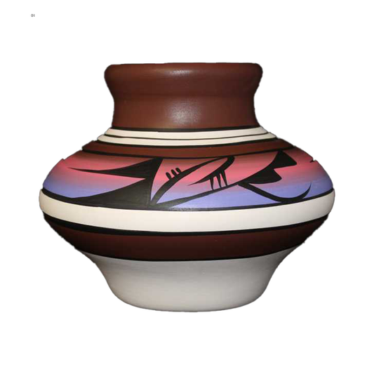 10082 Indian Rainbow  9 x 7 1/2 Inch Pot