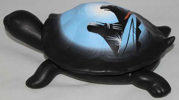 20105 Desert Storm 12 Turtle Box