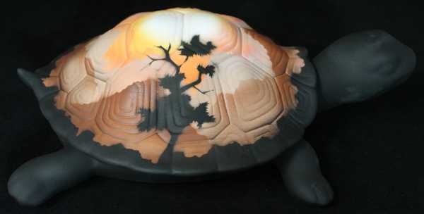 35105 Sunset Canyon 12 Turtle Box