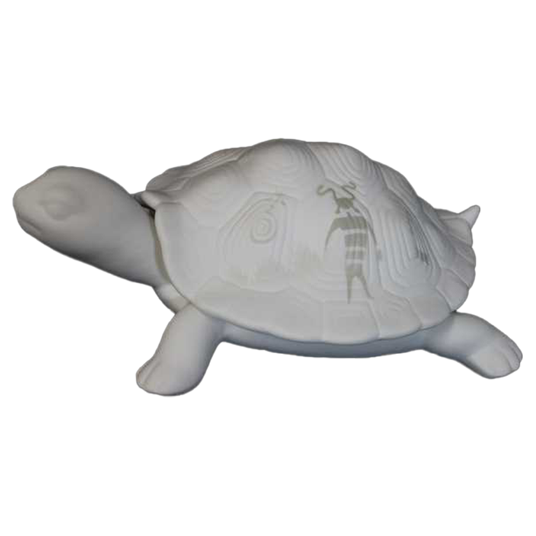 30105 Ancient Shadows 12 Turtle Box